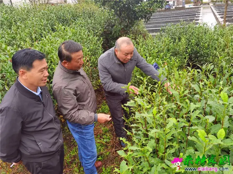 微信图片_20201016194042.webp