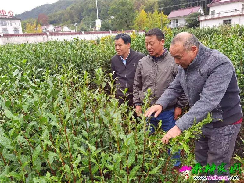微信图片_20201016194045.webp