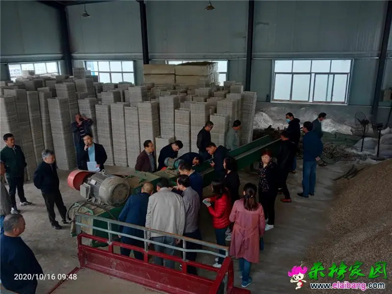 微信图片_20201016194054.webp