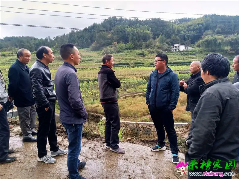微信图片_20201016194125.webp