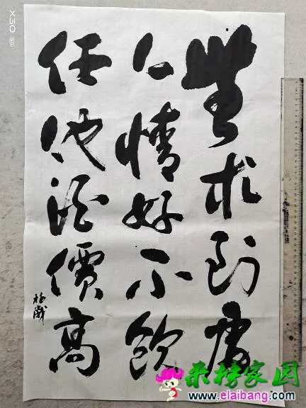 143117mmm1k0kxoxx8kuon.webp