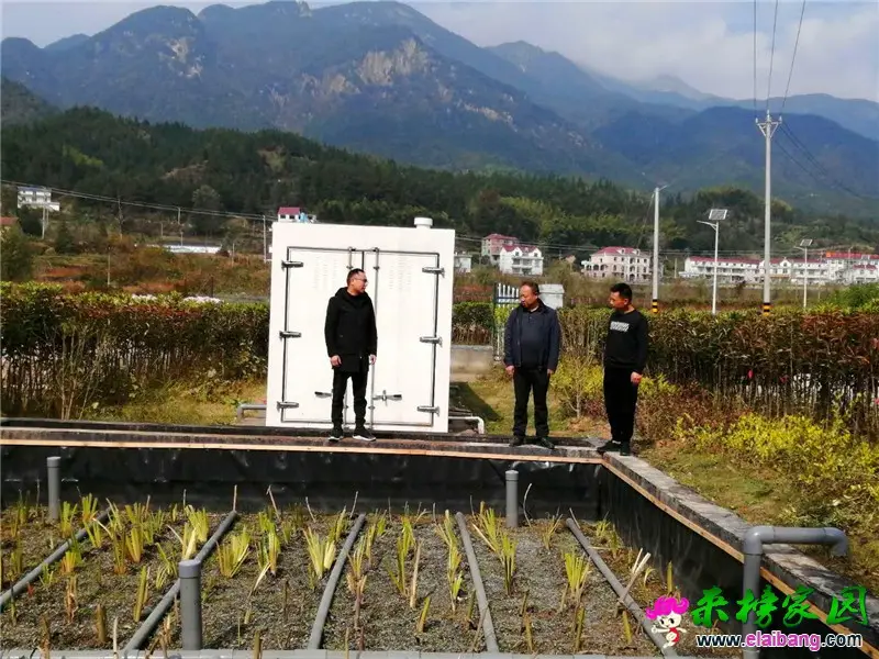 微信图片_20201017200623.webp