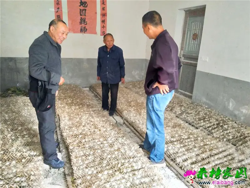 微信图片_20201017200613.webp