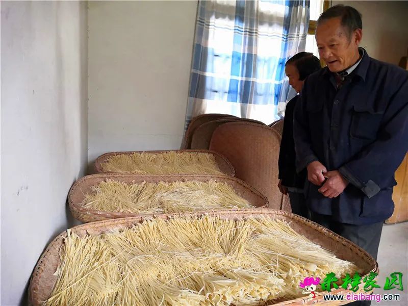 微信图片_20201018214210.webp