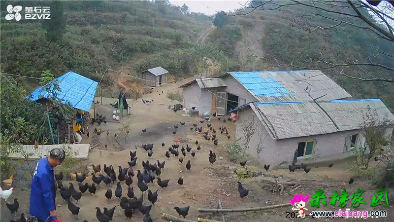 QQ图片20201018214504.webp