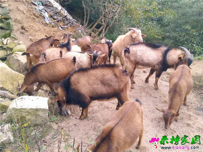微信图片_20201018214004.webp
