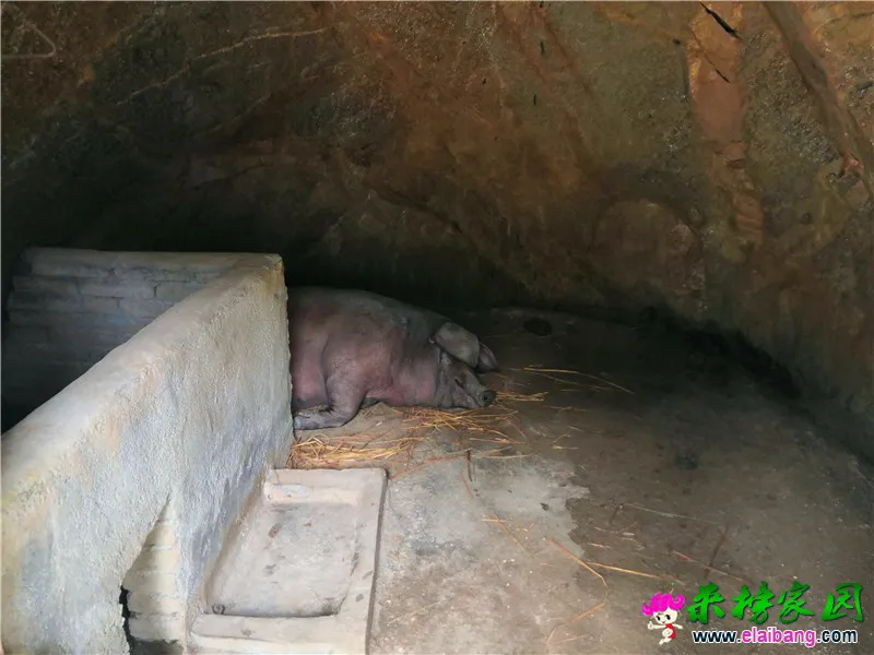 微信图片_20201018214200.webp