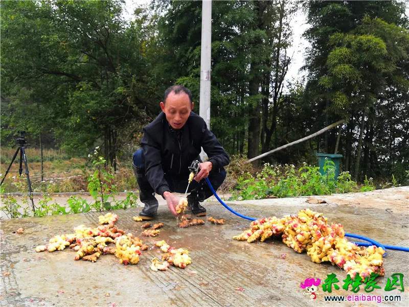 微信图片_20201018214220.webp
