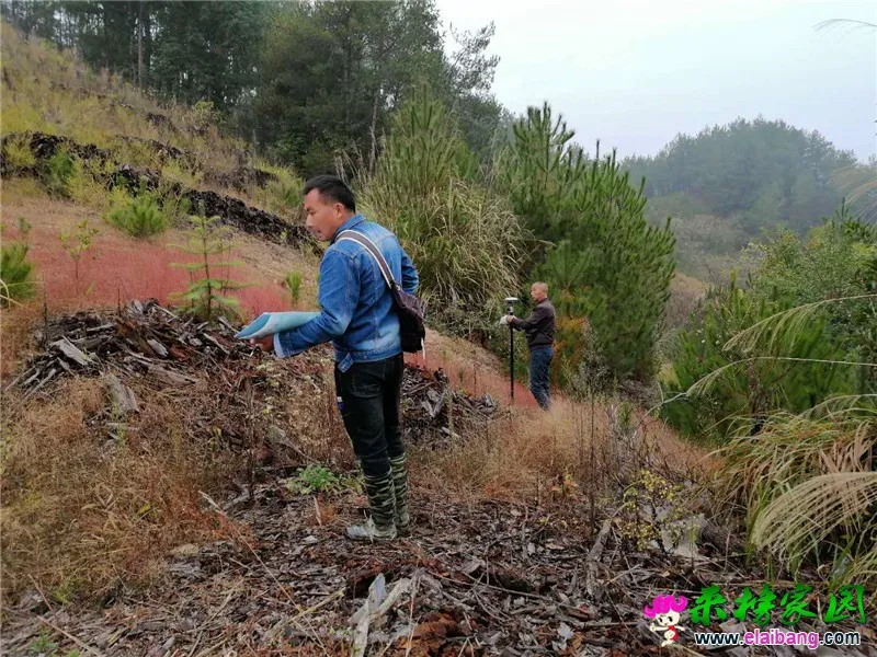 微信图片_20201018220332.webp