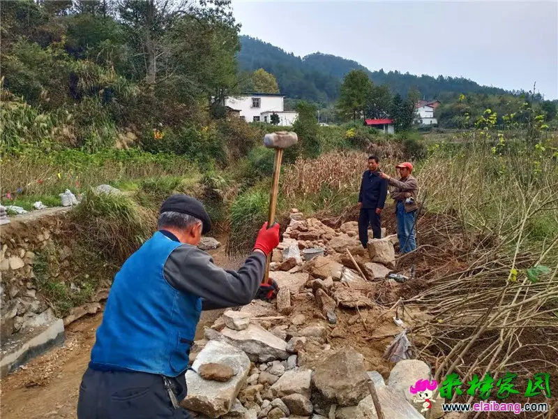 微信图片_20201019193642.webp