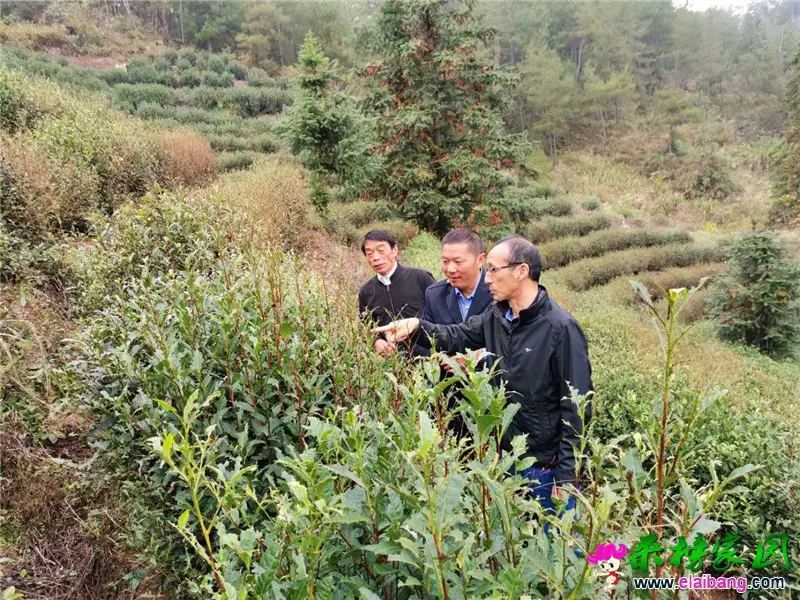微信图片_20201019193710.webp