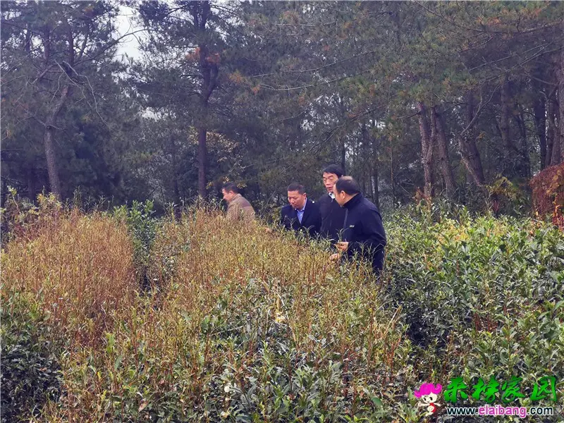微信图片_20201019193705.webp
