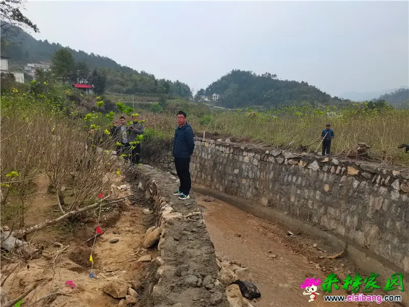 微信图片_20201019193732.webp