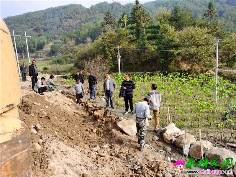 微信图片_20201019193741.webp