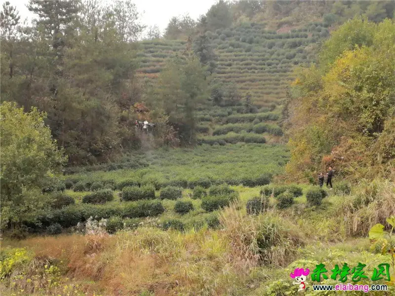 微信图片_20201020165707.webp