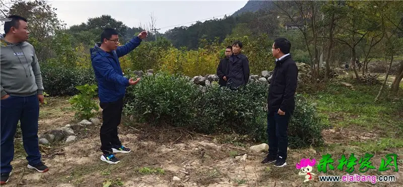 微信图片_20201020165750.webp