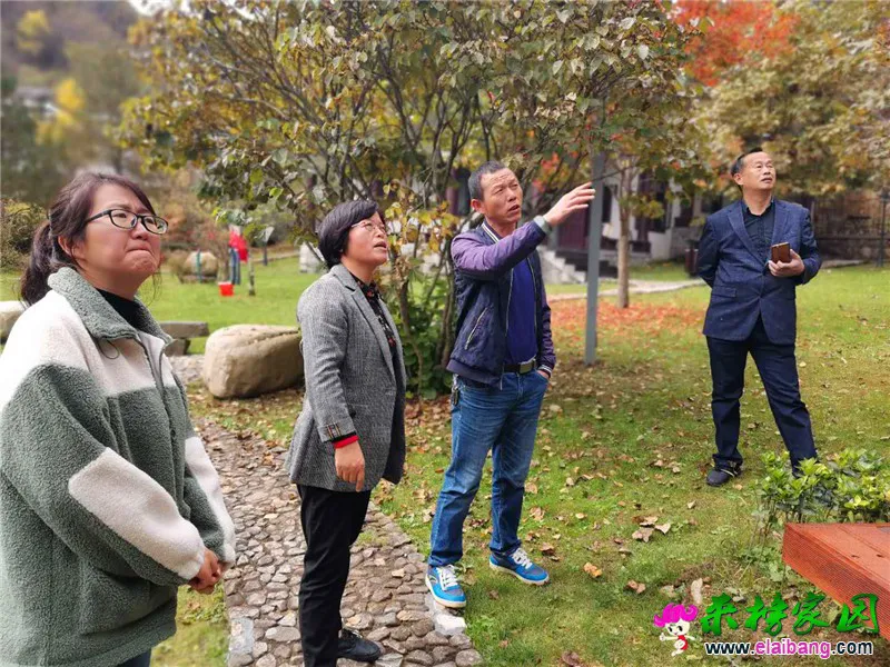 微信图片_20201021193139.webp