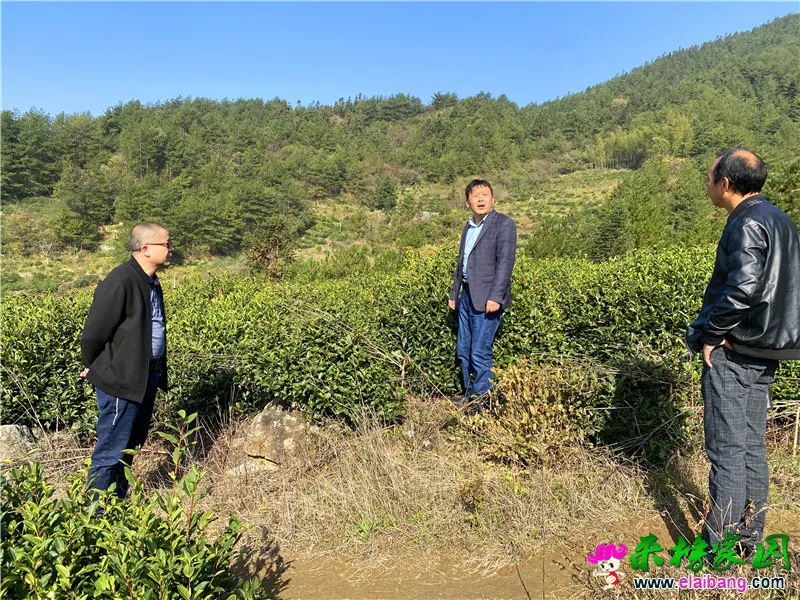 微信图片_20201022212410.webp