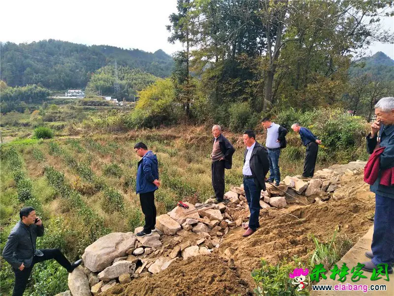 微信图片_20201026212824.webp