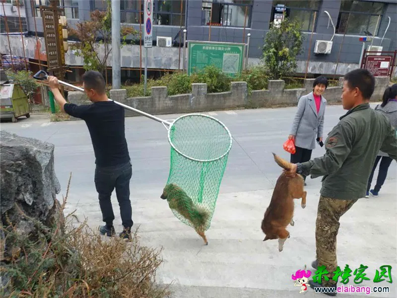 微信图片_20201026212838.webp