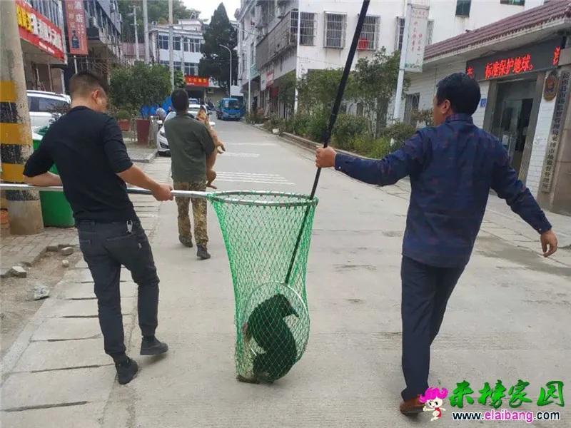 微信图片_20201026212836.webp