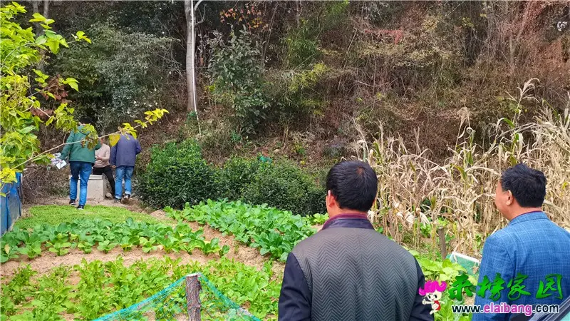 微信图片_20201027172014.webp