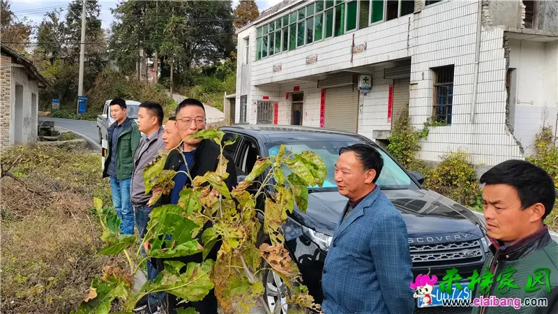 微信图片_20201027172012.webp
