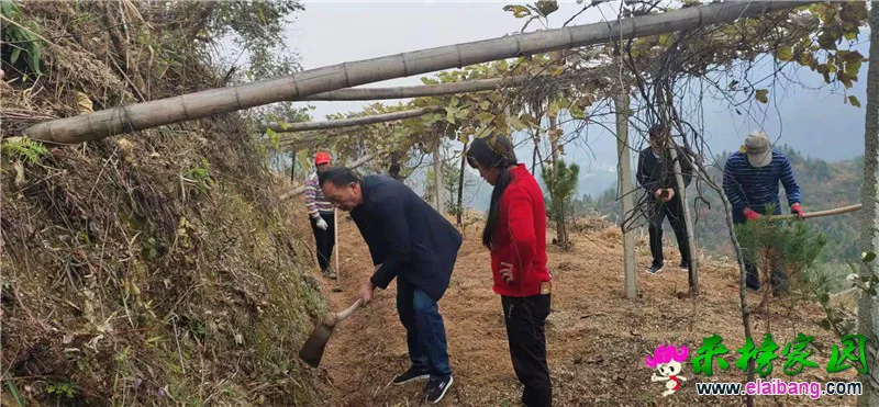 微信图片_20201028203245.webp