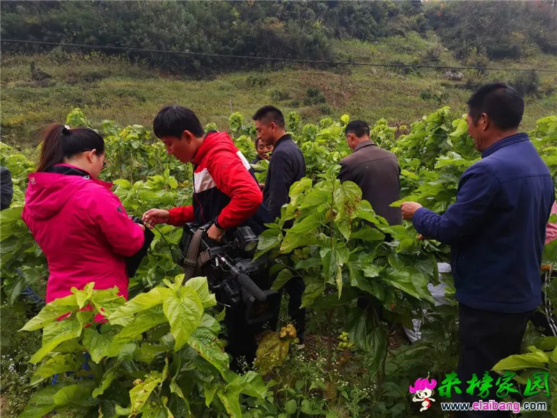 微信图片_20201028203229.webp