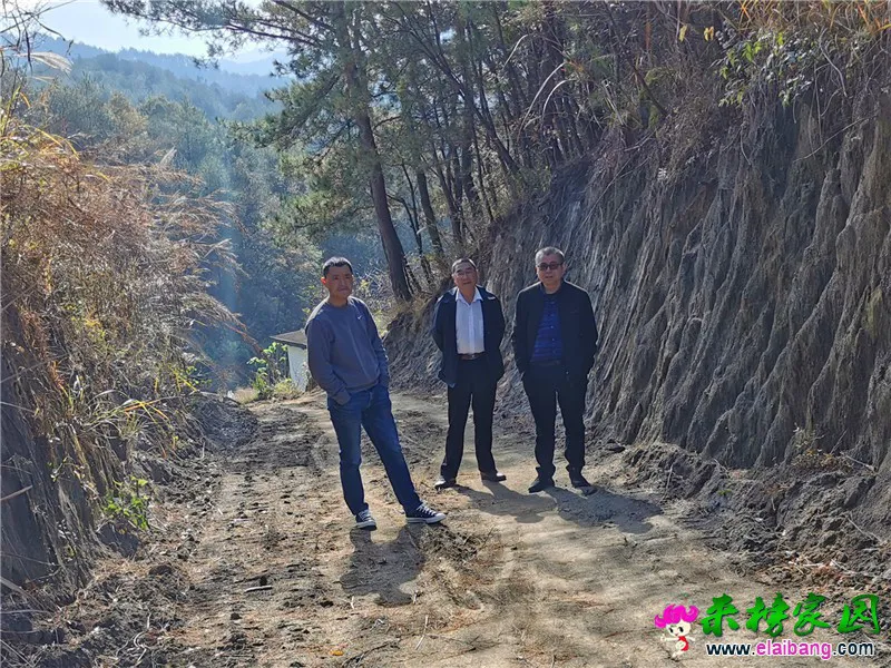 微信图片_20201029201906.webp