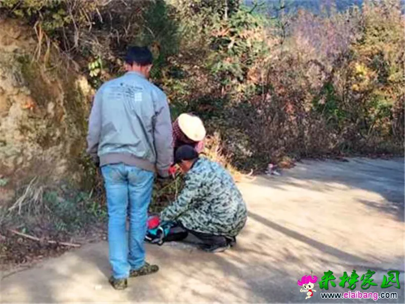 微信图片_20201029201831.webp