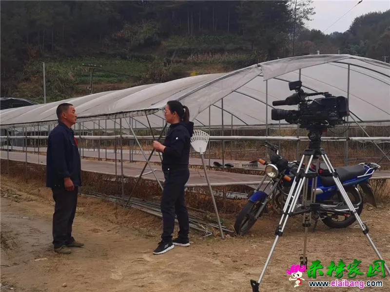 微信图片_20201029201916.webp
