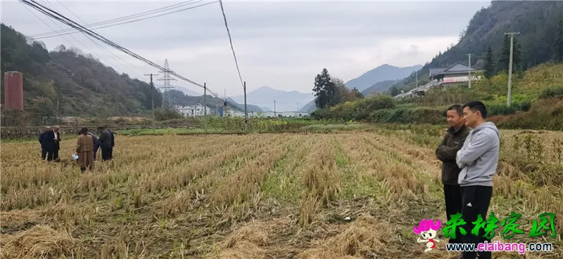 微信图片_20201031203645.webp