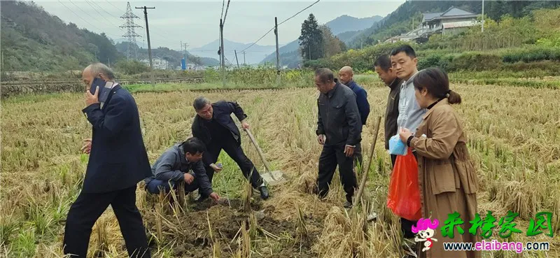 微信图片_20201031203647.webp