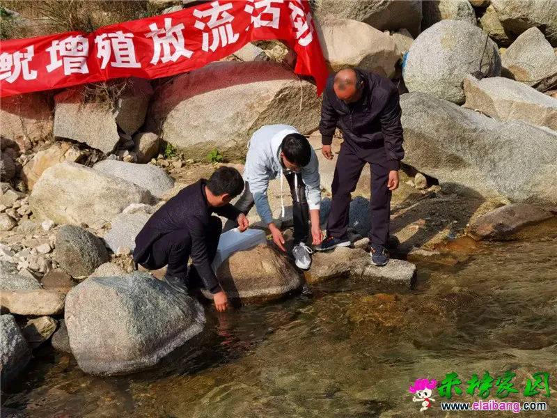 微信图片_20201103201831.webp