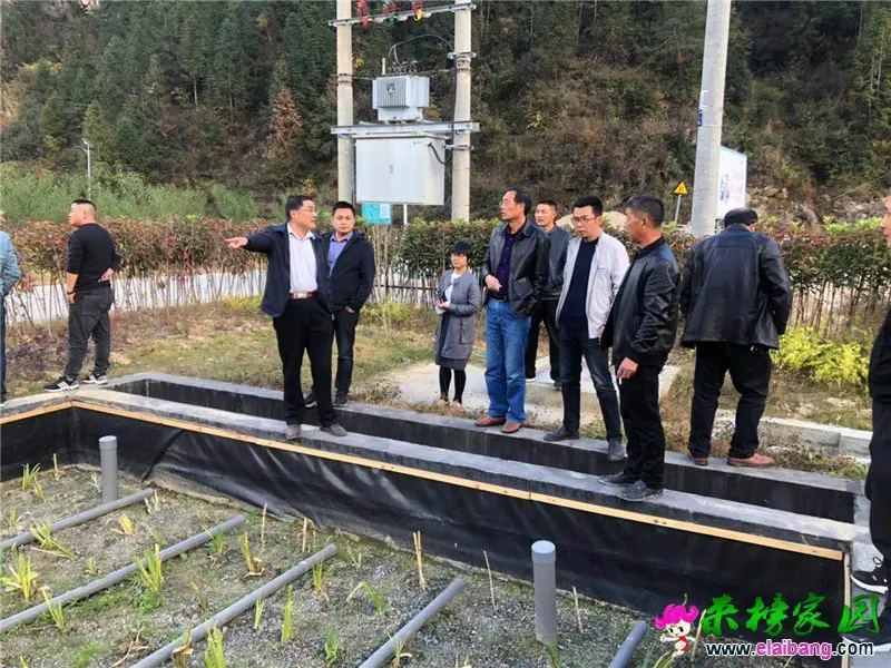 微信图片_20201104194116.webp