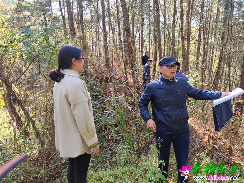 微信图片_20201110191005.webp
