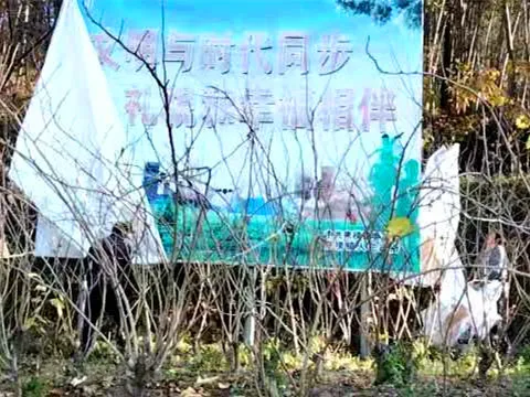 微信图片_20201114212906.webp