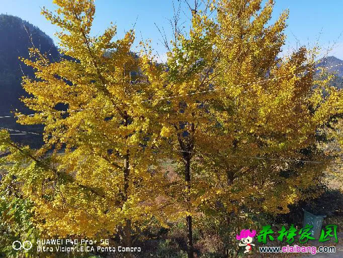 201942kfboxf8pb7kpxbxw.webp