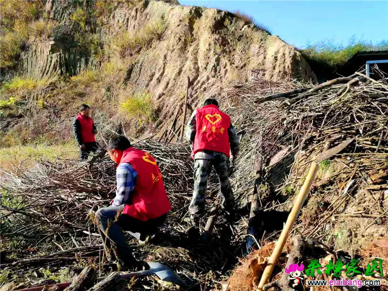 微信图片_20201116214831.webp