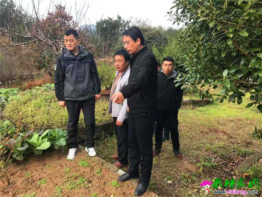 微信图片_20201119210929.webp
