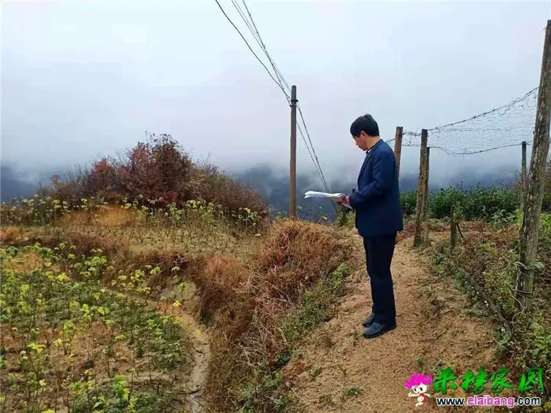 微信图片_20201121230539.webp