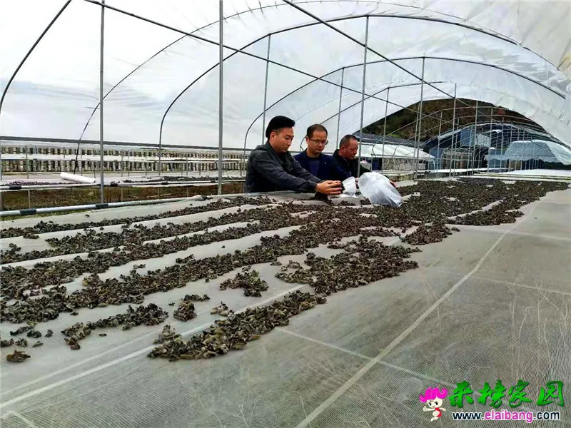 微信图片_20201126224836.webp