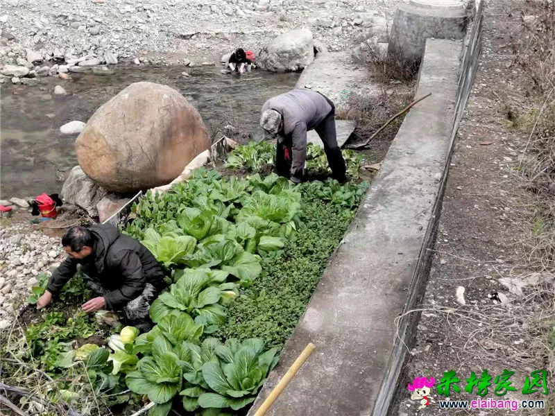 微信图片_20201203215122.webp