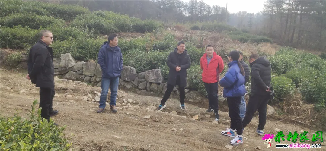 微信图片_20201204201834.webp
