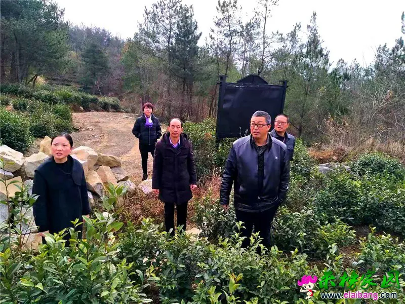 微信图片_20201206224725.webp