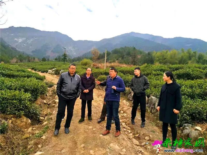 微信图片_20201206224730.webp