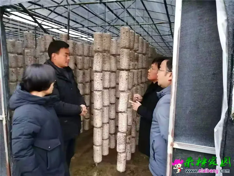微信图片_20201208205646.webp