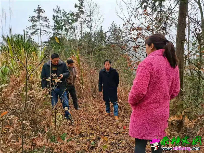 微信图片_20201209215313.webp