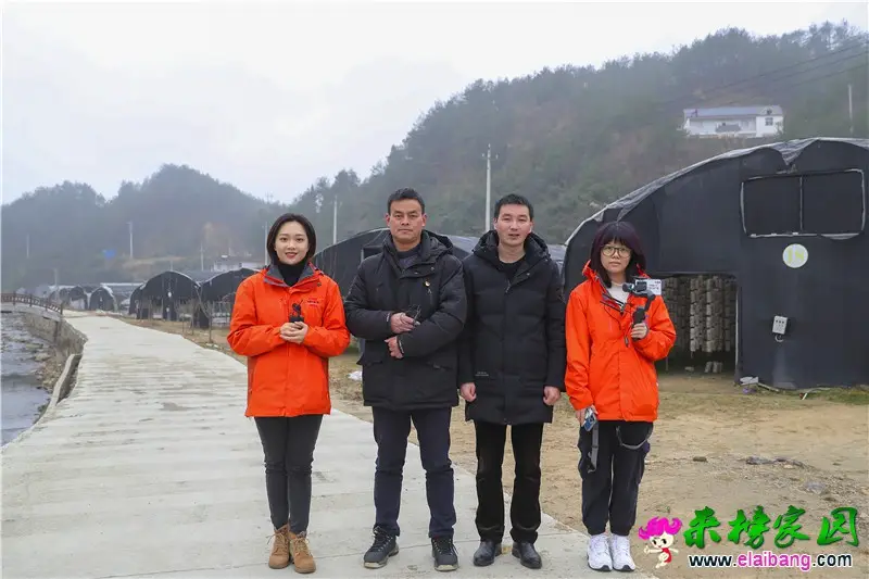 微信图片_20201210193854.webp